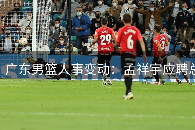 广东男篮人事变动：孟祥宇应聘总经理，多名球员调整去向